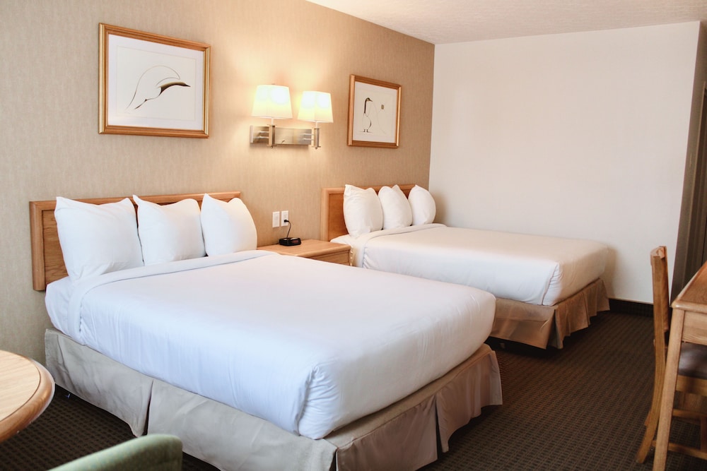 Standard Double Room, 2 Double Beds (2nd Floor) photo 1