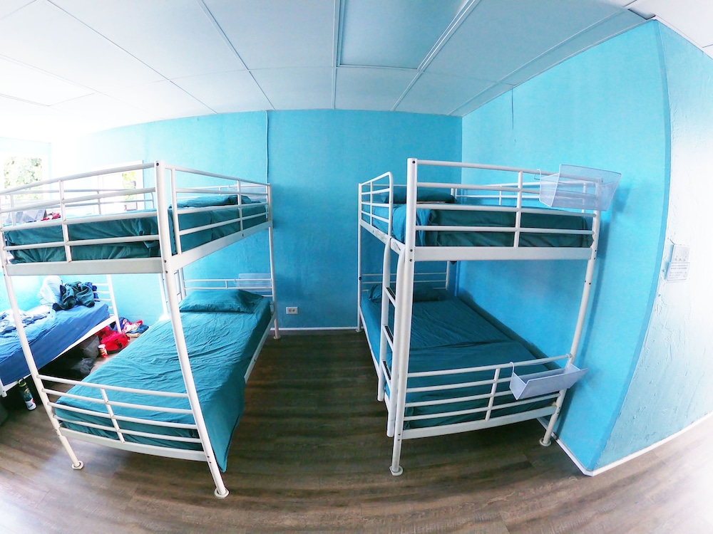 12 Bed Mixed Dormitory photo 2