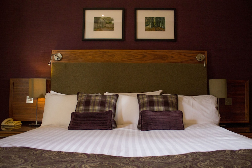 Executive Room photo 1