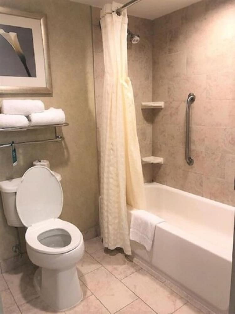 Suite, 1 King Bed, Non Smoking - Photo 5