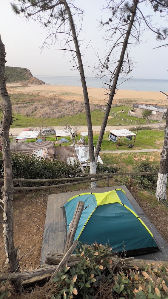 Basic Tent, Beach View photo 1