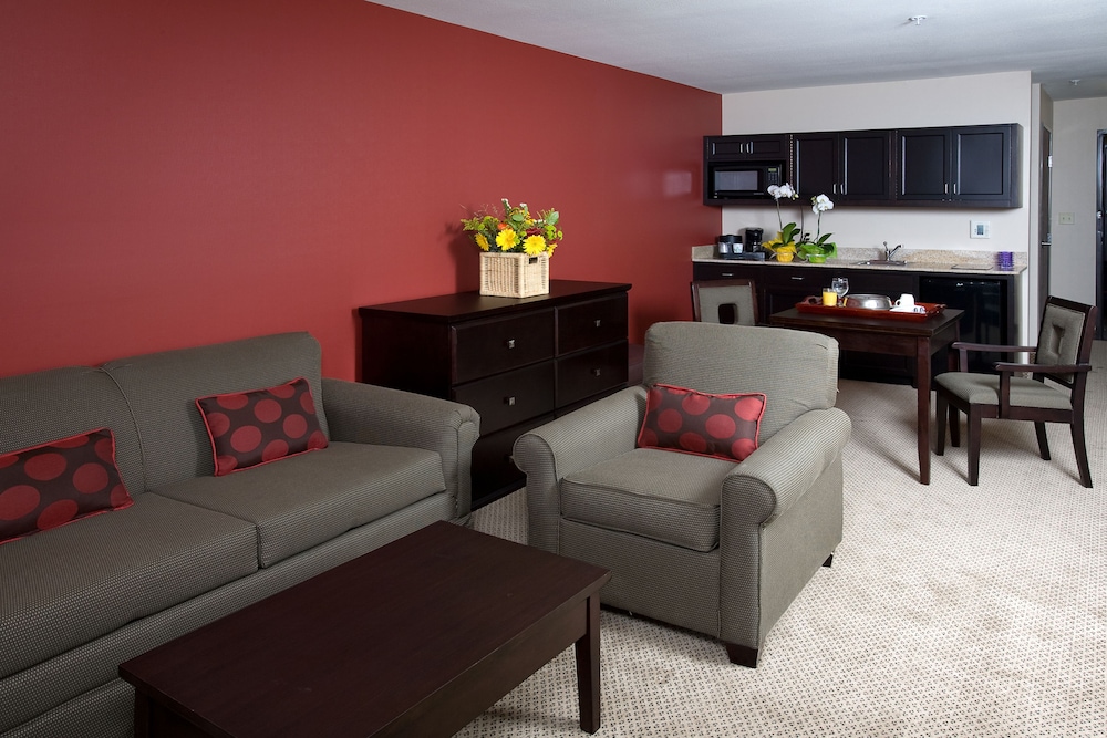Suite, 1 Bedroom photo 2