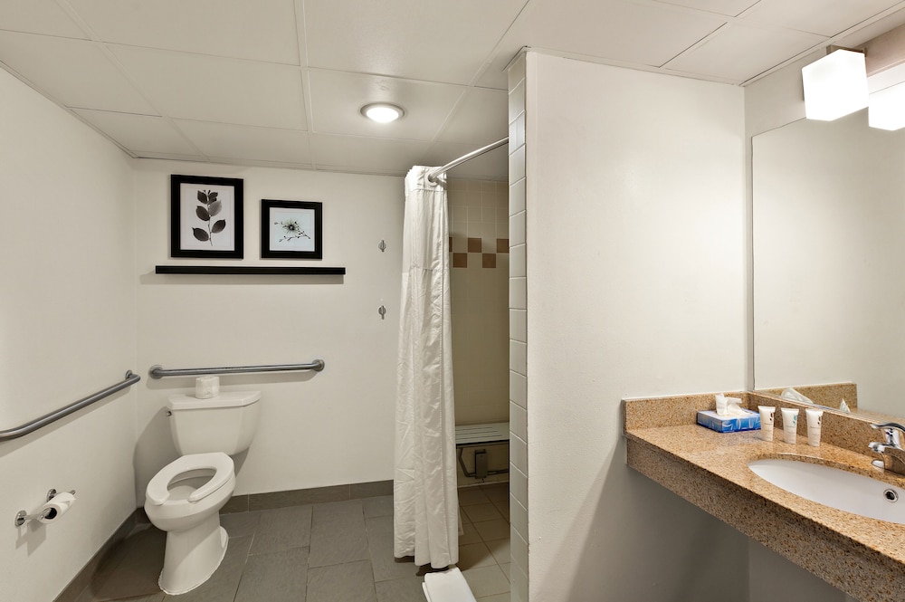 Suite, 1 King Bed, Accessible, Jetted Tub (NonSmoking  ) - Photo 4