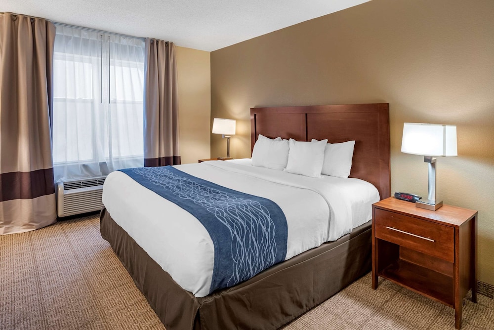 Suite, 1 King Bed with Sofa bed, Non Smoking