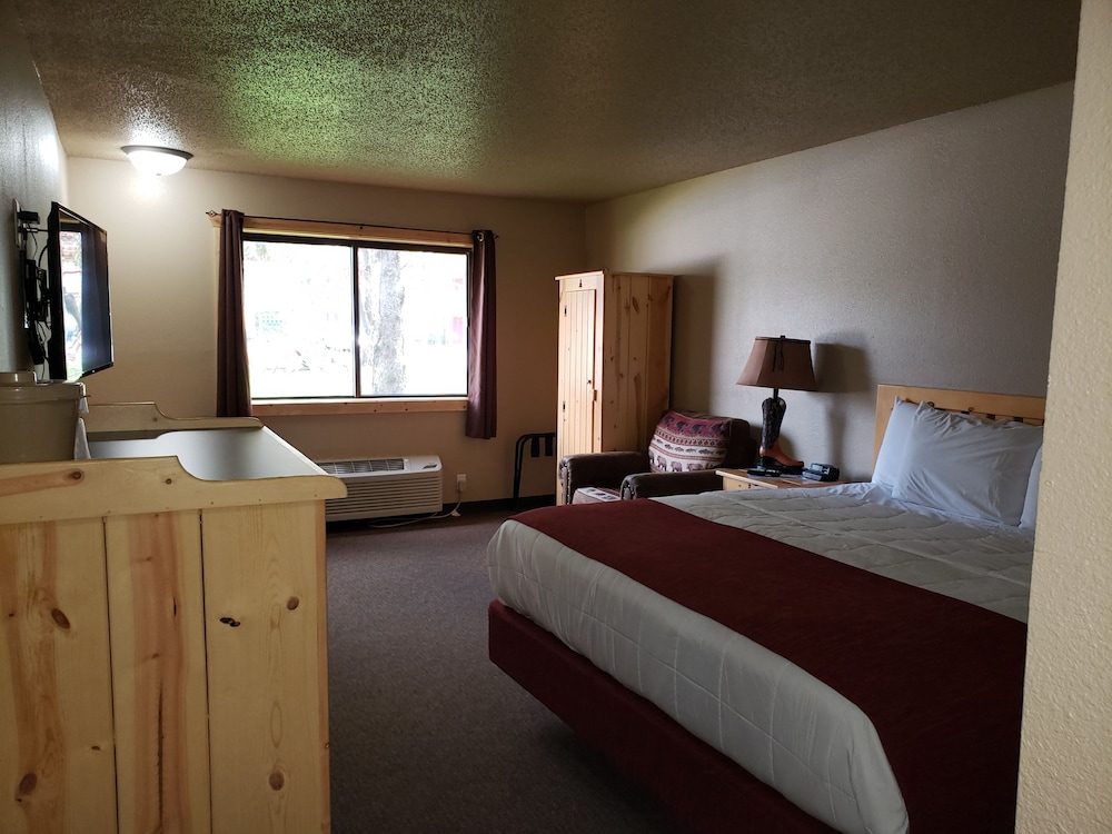 Room, 1 King Bed
