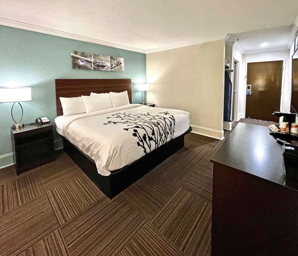 Suite, 1 King Bed with Sofa bed