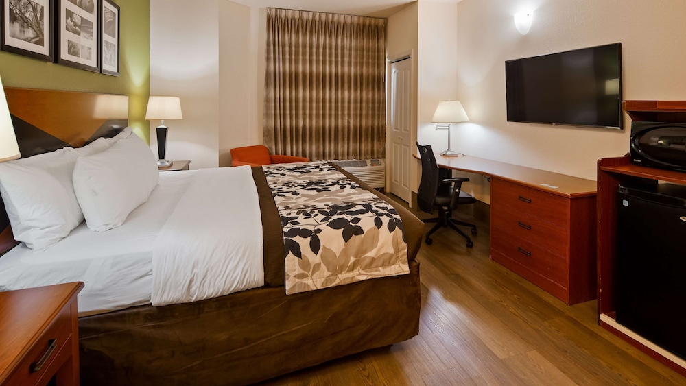Standard Room, 1 Queen Bed, Accessible, Refrigerator & Microwave photo 1