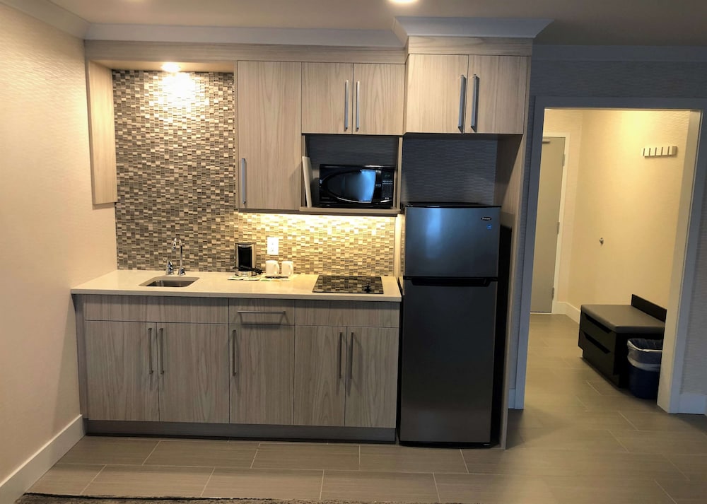 Executive Suite, 1 King Bed With Sofa Bed, Non Smoking, Kitchen (With Sofabed)