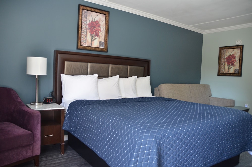 Executive Room, 1 King Bed photo 1