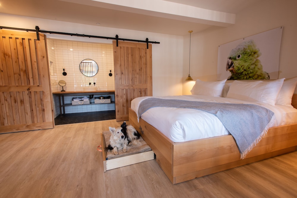 Standard Suite, 1 King Bed (King Suite)