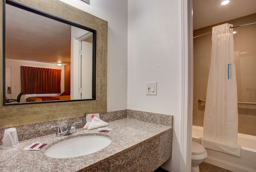 Standard Room, 1 King Bed, Non Smoking, Refrigerator & Microwave - Photo 10