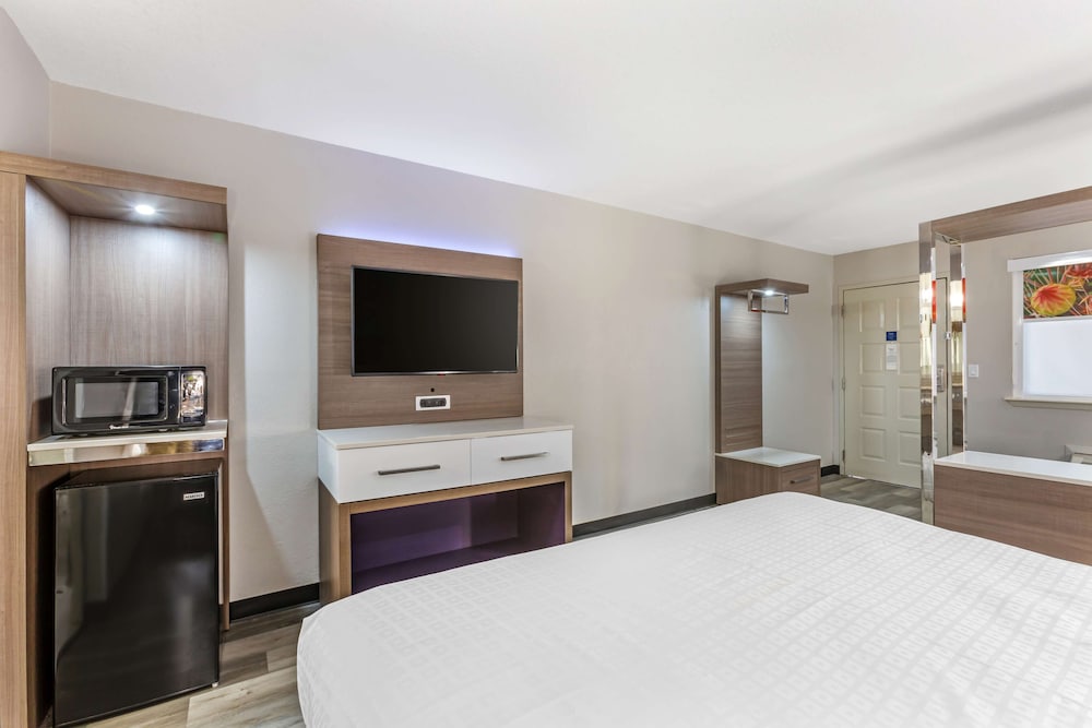 Standard Room, 1 King Bed, Non Smoking, Refrigerator & Microwave (Larger Room;with Sofabed) - Photo 2