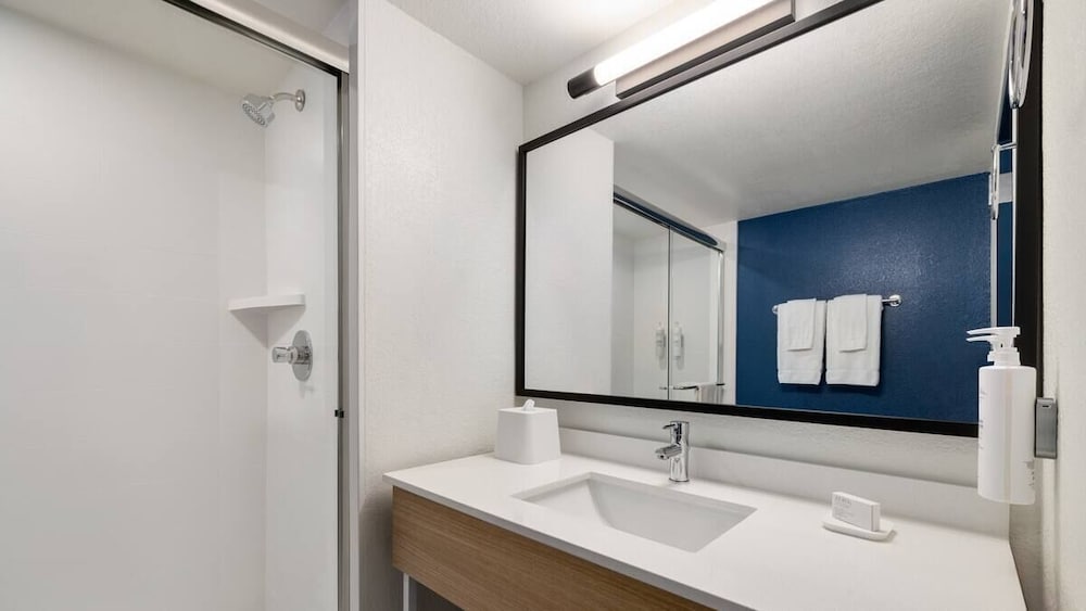 Suite, 1 King Bed - Photo 4