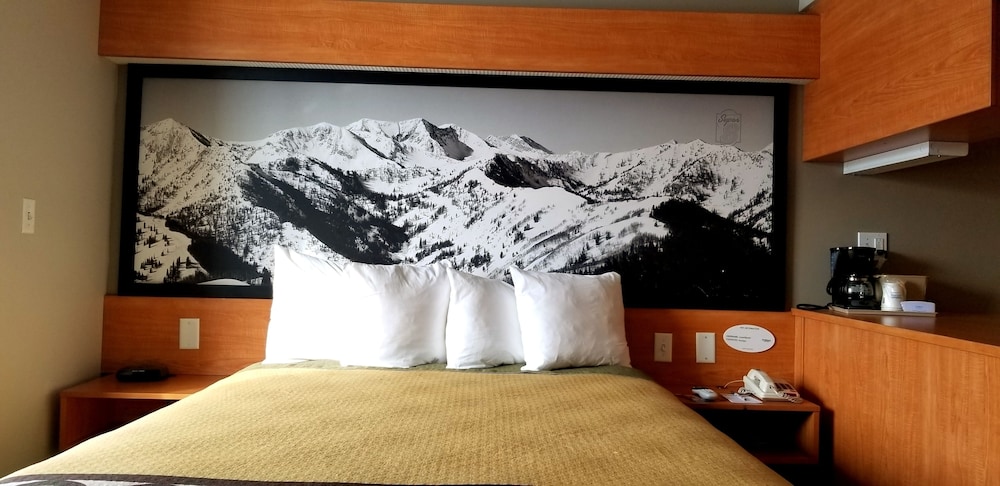Standard Single Room photo 3