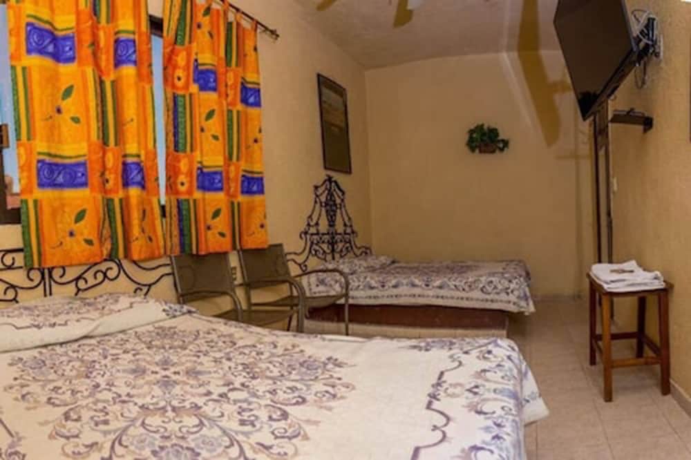Basic Double Room photo 2