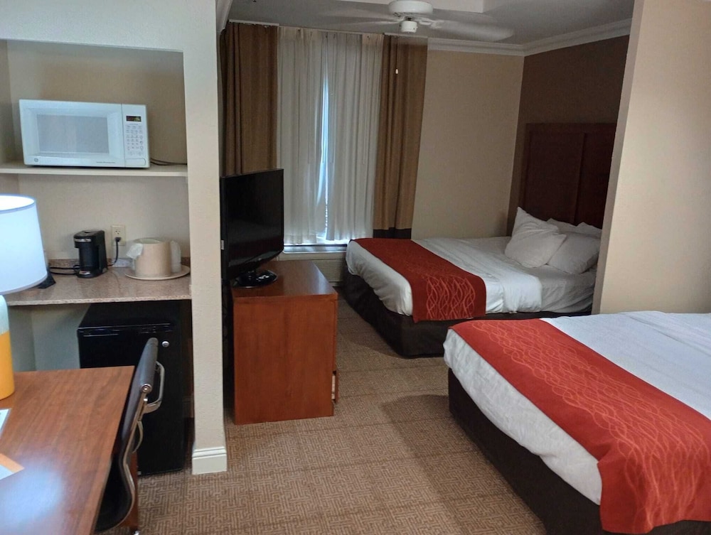 Deluxe Room, Multiple Beds photo 2