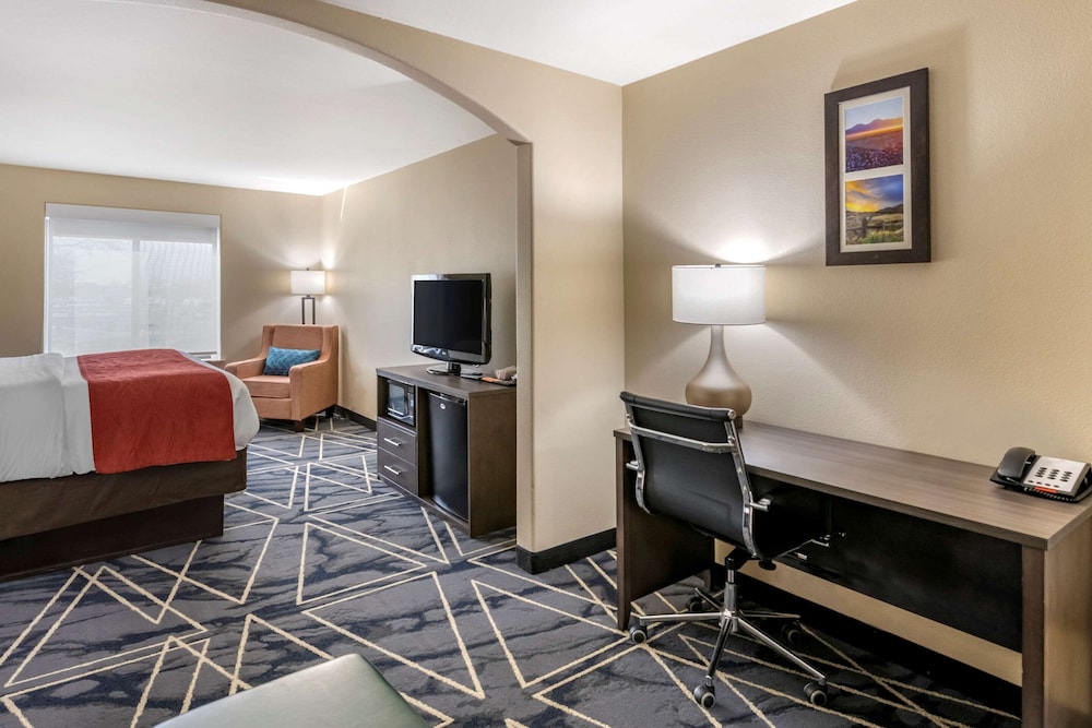 Suite, 1 King Bed with Sofa bed, Accessible, Non Smoking photo 3