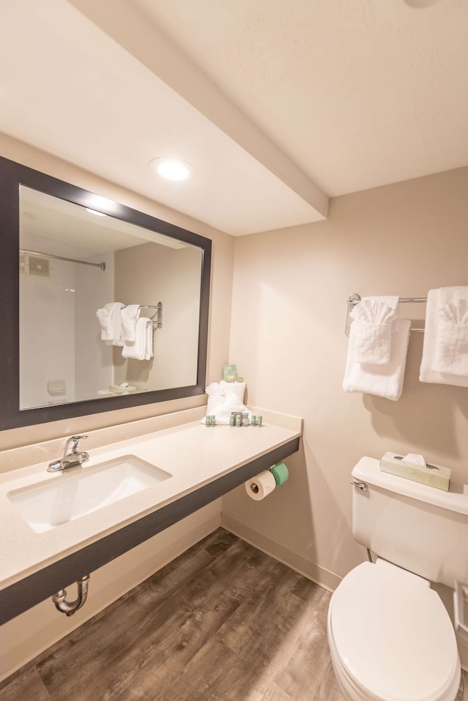 Deluxe Room, 1 King Bed, Non Smoking, Refrigerator & Microwave photo 2