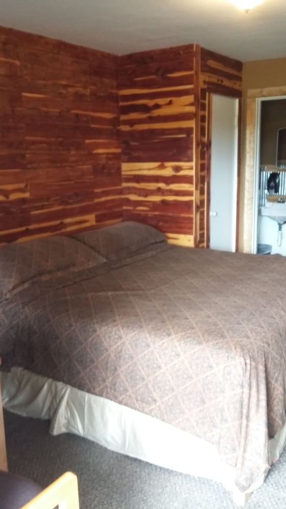Room, 1 King Bed photo 1