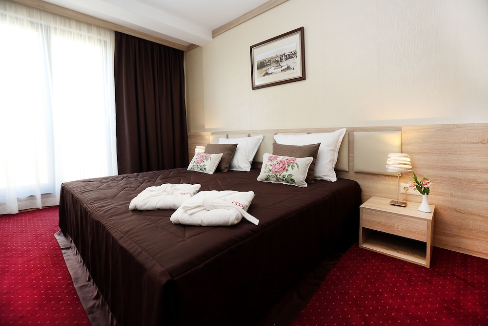 Deluxe Double Room photo 2