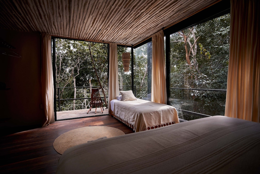 Jungle Suite photo 2