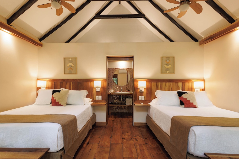 Deluxe Room, 2 Queen Beds photo 1