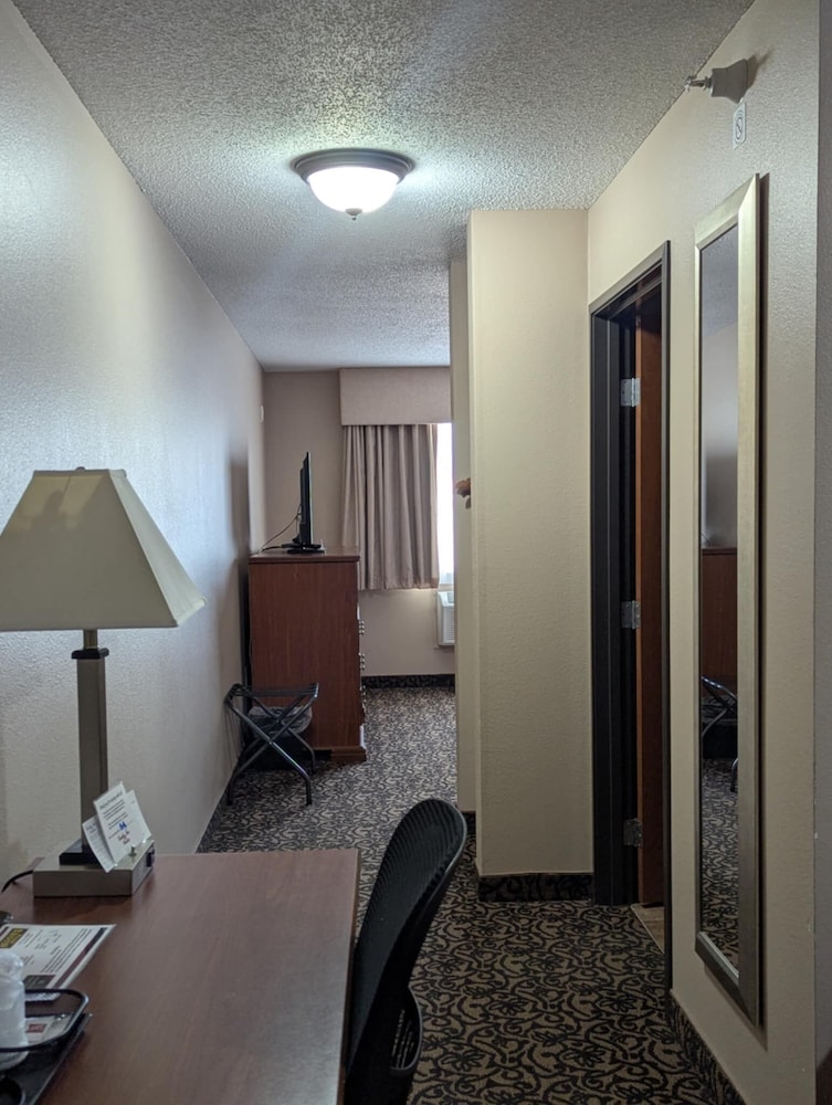Standard Suite, 1 King Bed with Sofa bed, Non Smoking
