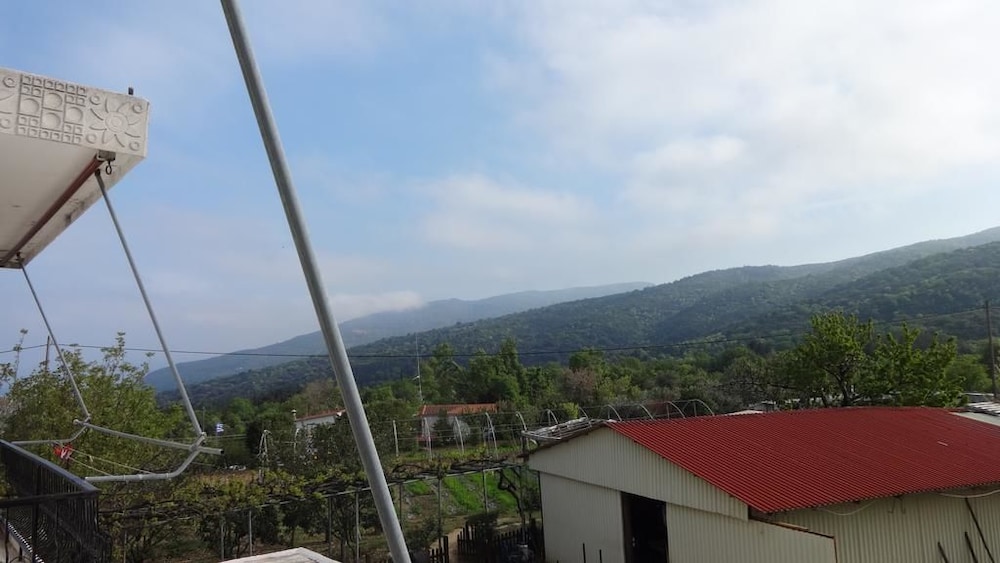 Double Room, Mountain View photo 3