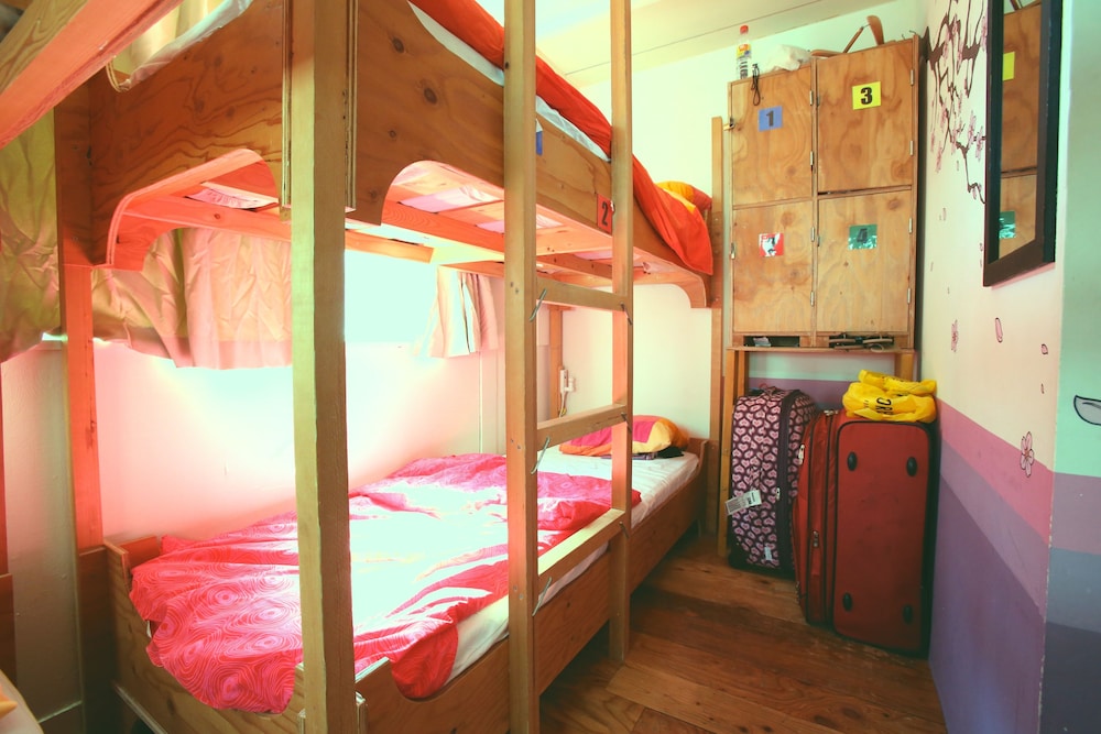 Basic Shared Dormitory (Female Guest Only) photo 2
