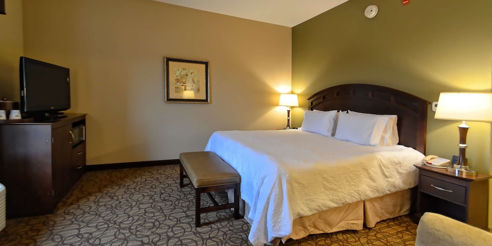 Room, 1 King Bed photo 1