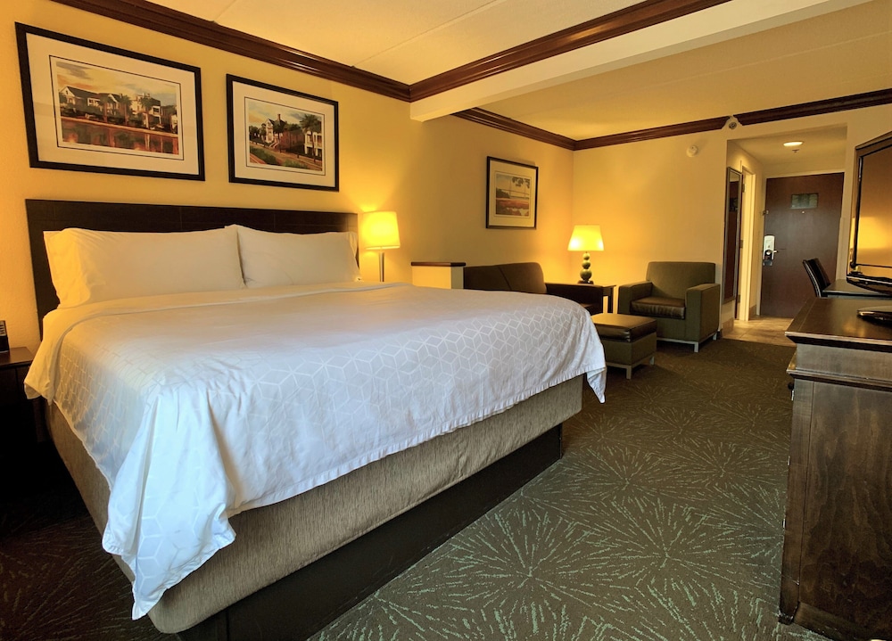 Suite, 1 King Bed, Accessible (Mobility) - Photo 4