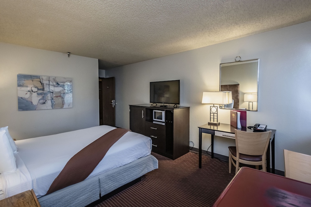 Standard Single Room photo 2