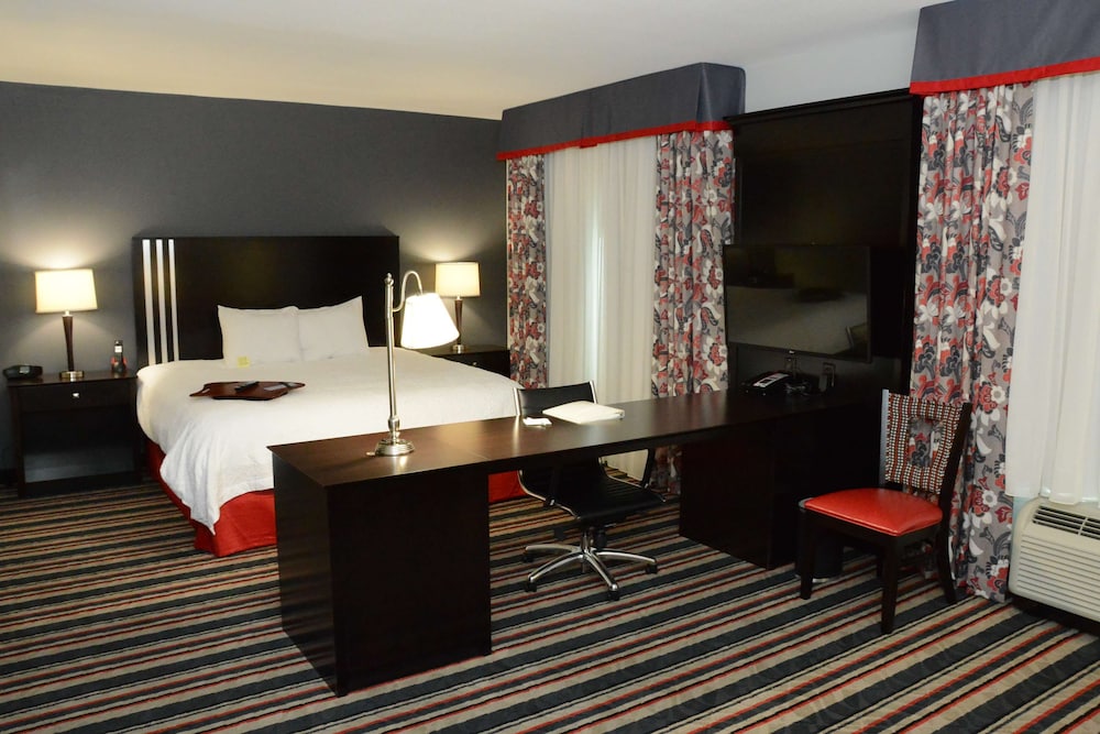 Suite, 1 King Bed, Non Smoking photo 1