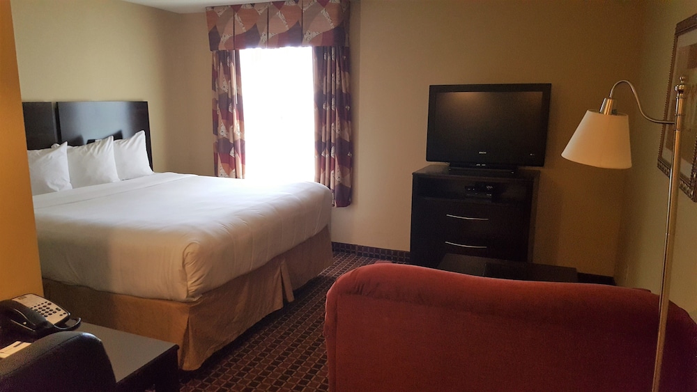 Standard Room, 1 King Bed, Non Smoking, Kitchen
