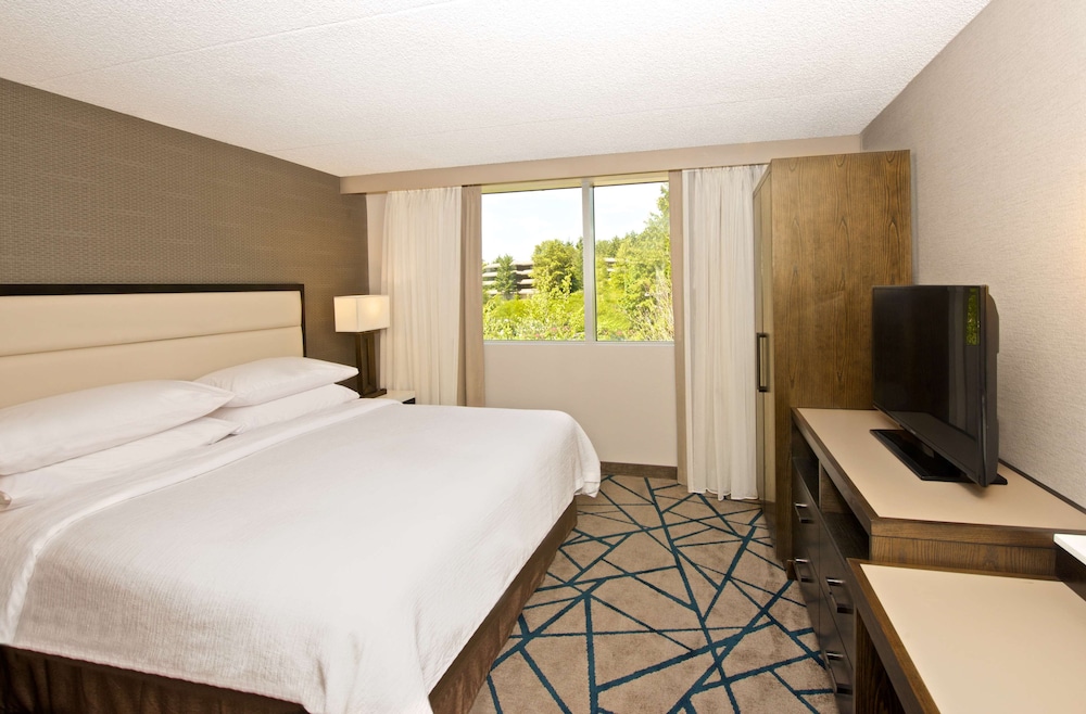 Suite, 1 King Bed with Sofa bed, Accessible, Non Smoking - Photo 6