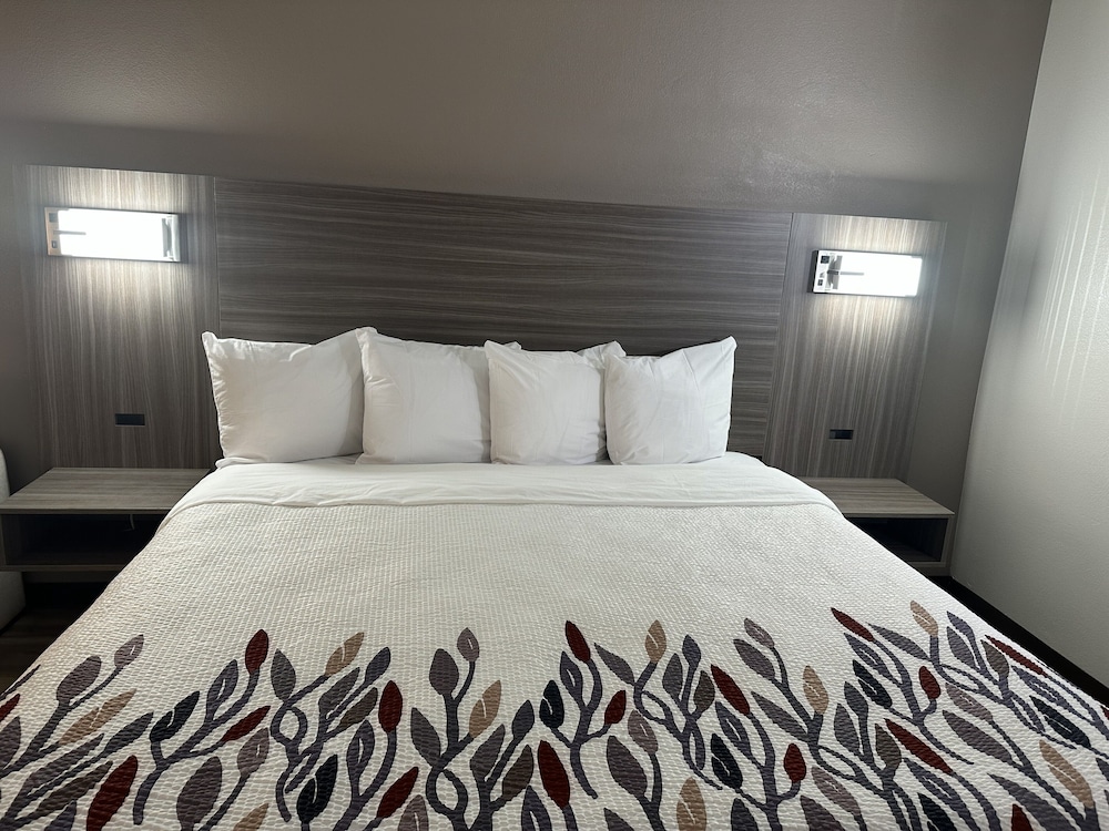 Suite, 1 King Bed, Non Smoking - Photo 4