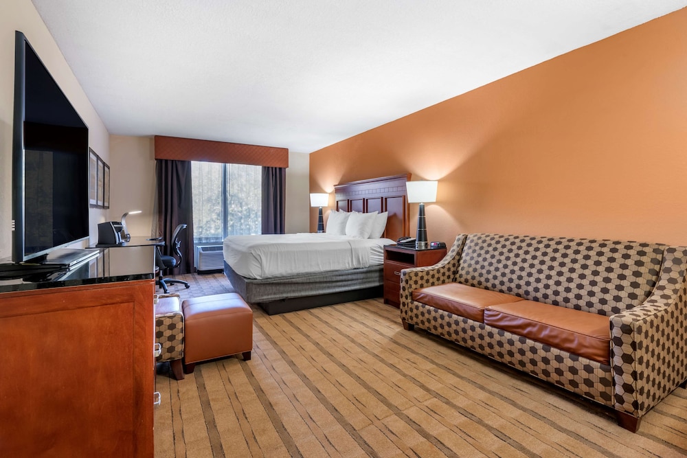 Suite, 1 King Bed, Accessible, Bathtub (With Sofabed)