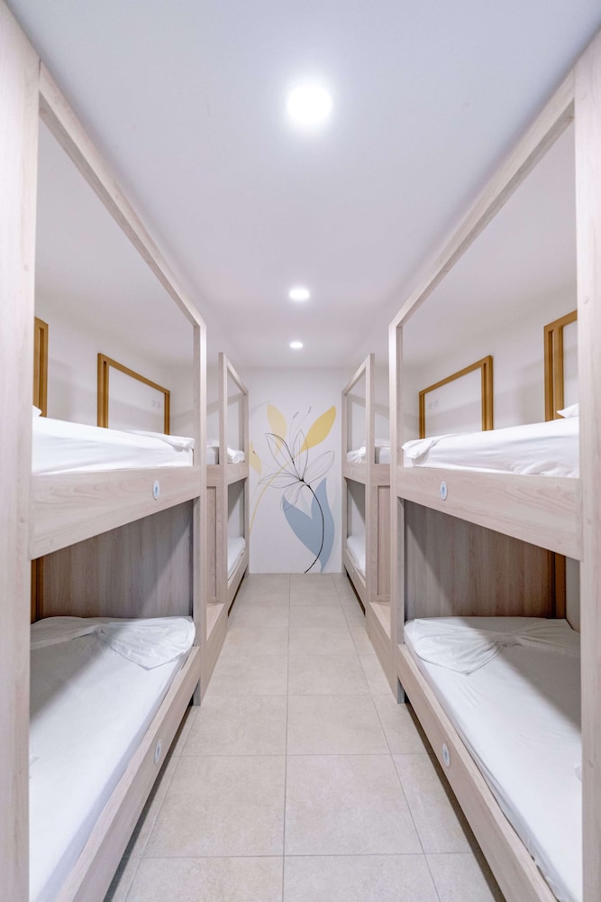 Basic Shared Dormitory