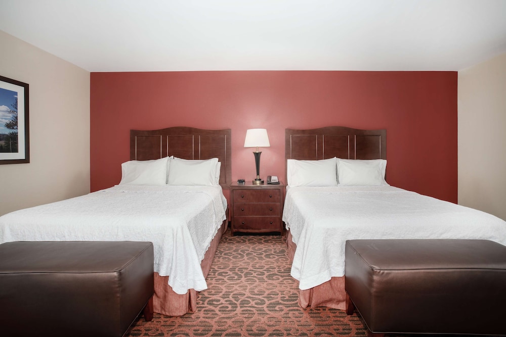 Hampton Inn and Suites Denver/South-RidgeGate