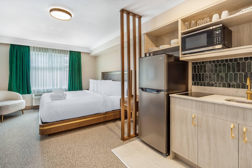 Room, 1 King Bed, Non Smoking (Efficiency) photo 1