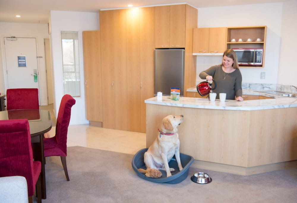Standard One Bedroom Apartment - Pet Friendly