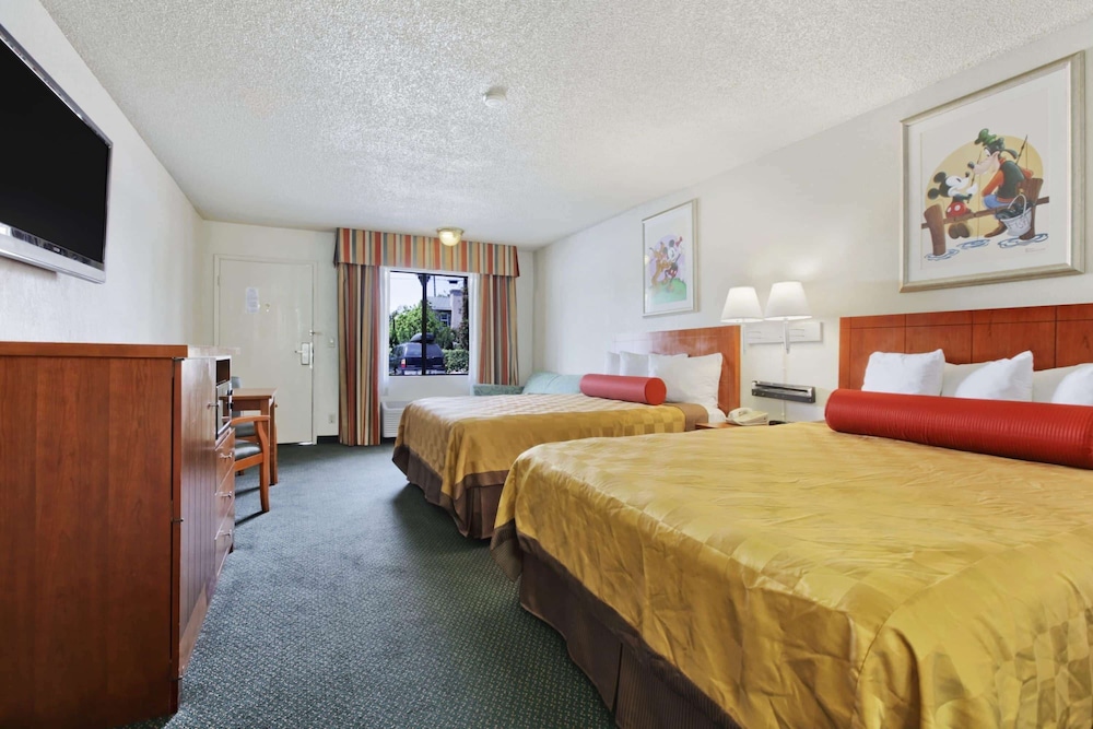 Room, Multiple Beds