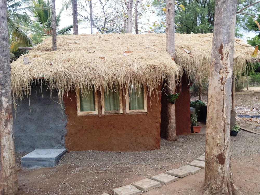 Luxury Suite, 1 Bedroom, Park View, Garden Area photo 2