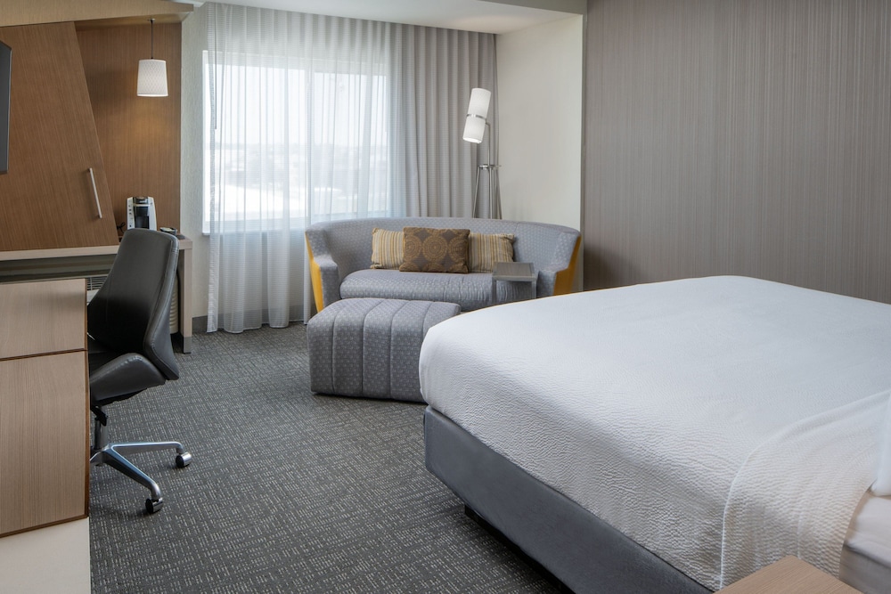 Suite, 1 King Bed with Sofa bed