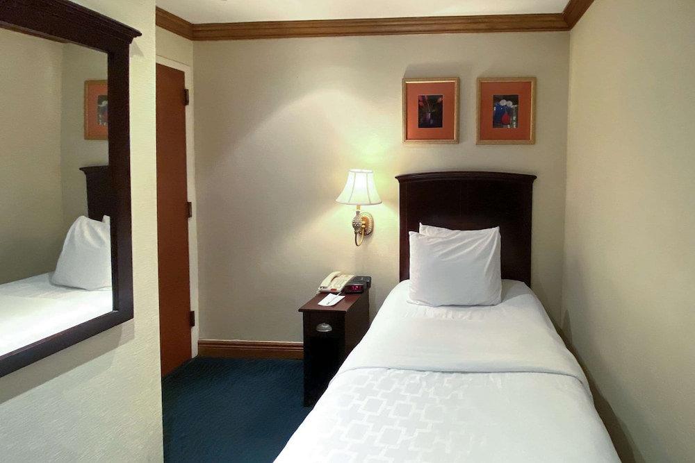 Standard Twin Room, 1 Twin Bed, Non Smoking photo 3