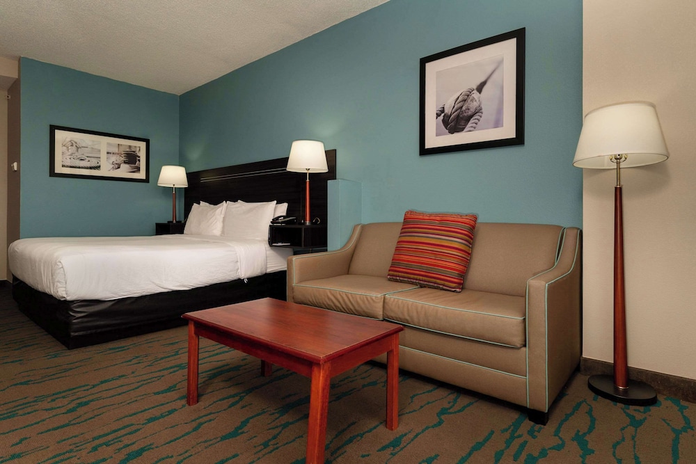 Suite, 1 King Bed with Sofa bed photo 3