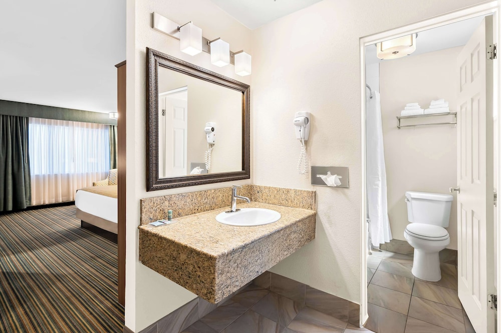 Standard Room, 1 King Bed, Non Smoking, Refrigerator & Microwave (Pet Friendly) photo 3