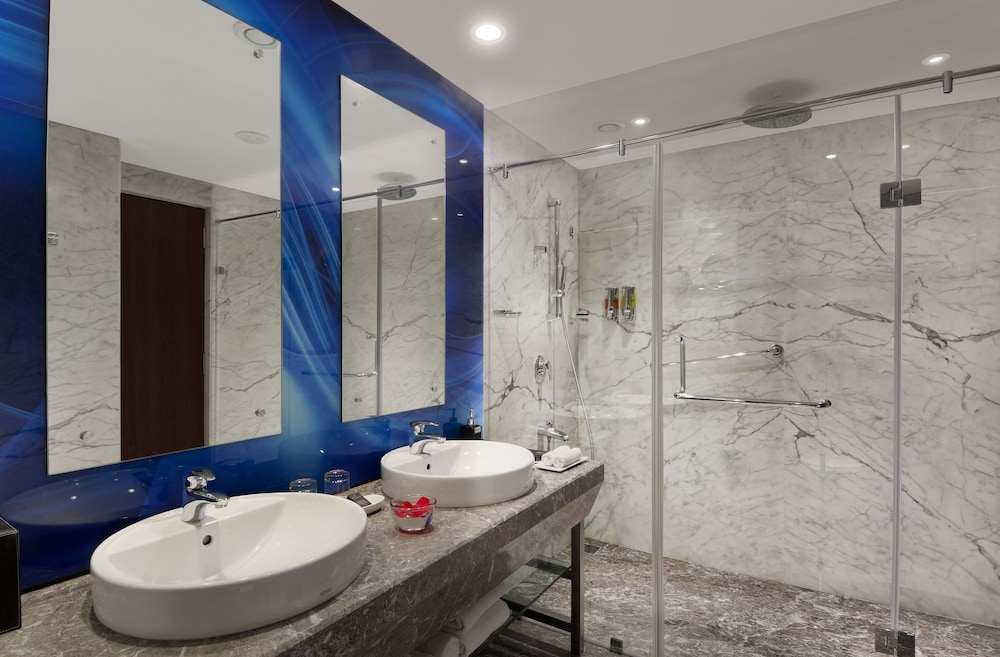 Deluxe Room - Photo 6