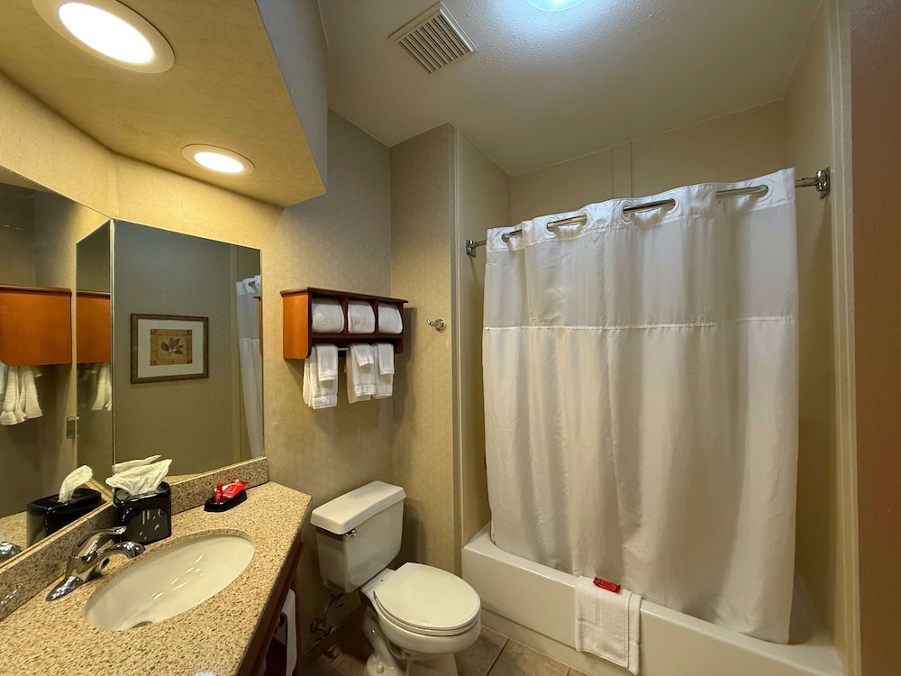 Standard Room, 1 King Bed, Accessible, Refrigerator & Microwave - Photo 3