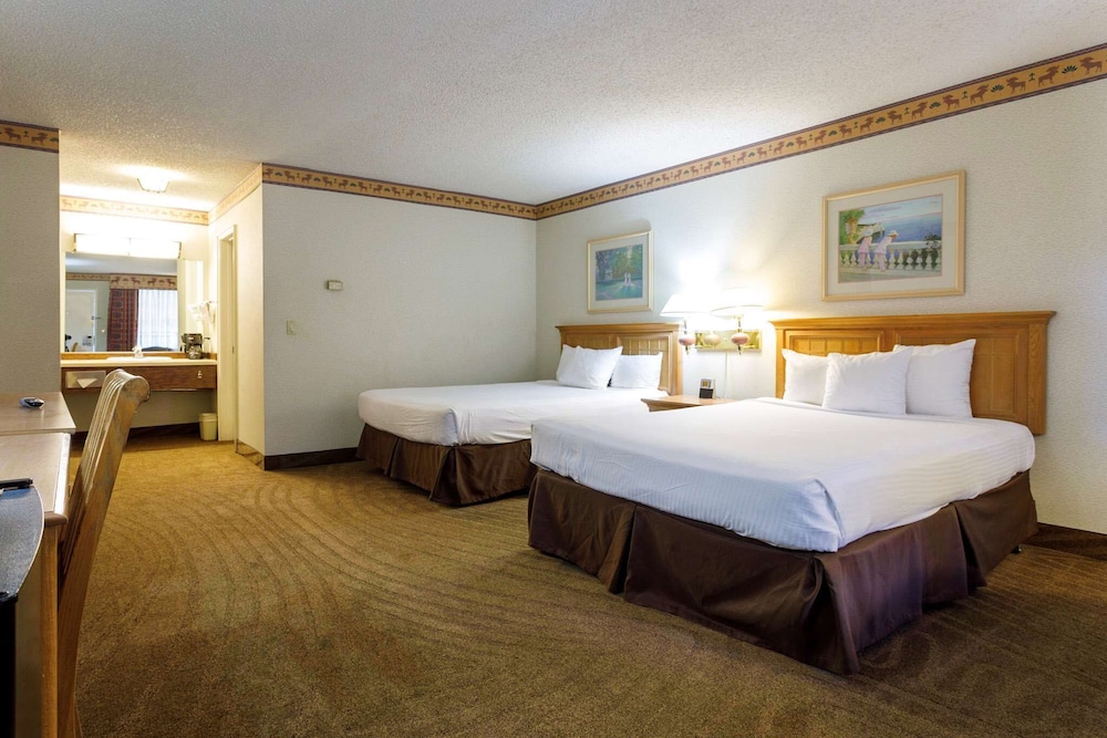 Suite, Multiple Beds, Non Smoking photo 1